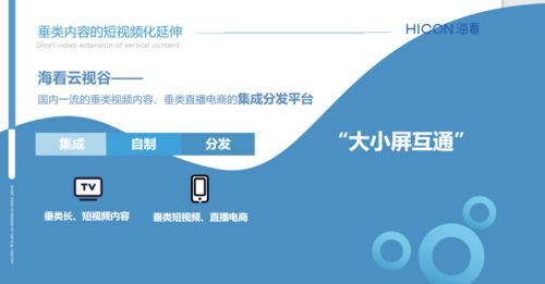 三晉論道，共話未來 海看股份許璐璐談精品垂類內容產業化與河北網站開發的協同發展